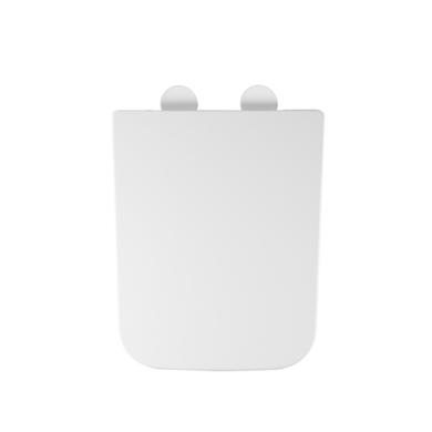 Wall Hung Toilet with Soft Close Seat, Mechanical Chrome Flush Plate, 1168mm Frame & Cistern - Albi