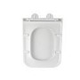 Wall Hung Toilet with Soft Close Seat, Mechanical Brushed Brass Flush Plate, 1168mm Frame & Cistern - Albi