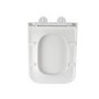 Wall Hung Toilet with Soft Close Seat, Mechanical Brushed Brass Flush Plate, 1168mm Frame & Cistern - Albi