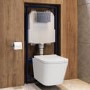 Wall Hung Toilet with Soft Close Seat, Mechanical Brushed Brass Flush Plate, 1168mm Frame & Cistern - Albi