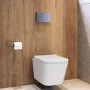 Wall Hung Toilet with Soft Close Seat, Mechanical Brushed Brass Flush Plate, 1168mm Frame & Cistern - Albi