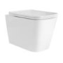 Wall Hung Toilet with Soft Close Seat, Mechanical Brushed Brass Flush Plate, 1168mm Frame & Cistern - Albi