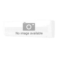 Dyson AM06 Desk Fan 12 Inch White and Silver