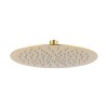 Brushed Brass Dual Outlet Wall Mounted Thermostatic Mixer Shower with Hand Shower - Arissa