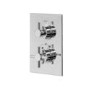 Single Outlet Concealed Thermostatic Shower Valve - EcoStyle