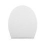 Wall Hung Rimless Short Projection Toilet with Soft Close Seat - Alcor