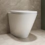 ALMOST PERFECT - Back to Wall Rimless Toilet with Soft Close Seat - Newport