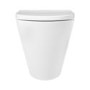 ALMOST PERFECT - Back to Wall Rimless Toilet with Soft Close Seat - Newport