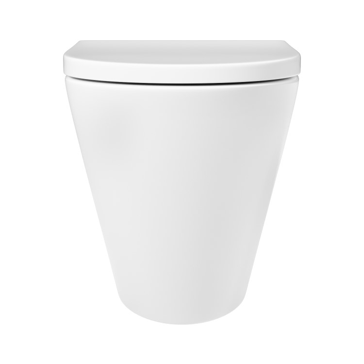 ALMOST PERFECT - Back to Wall Rimless Toilet with Soft Close Seat - Newport