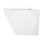 ALMOST PERFECT - Back to Wall Rimless Toilet with Soft Close Seat - Newport