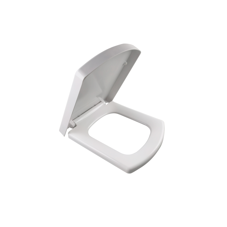 Close Coupled Rimless Toilet with Soft Close Seat - Ashford