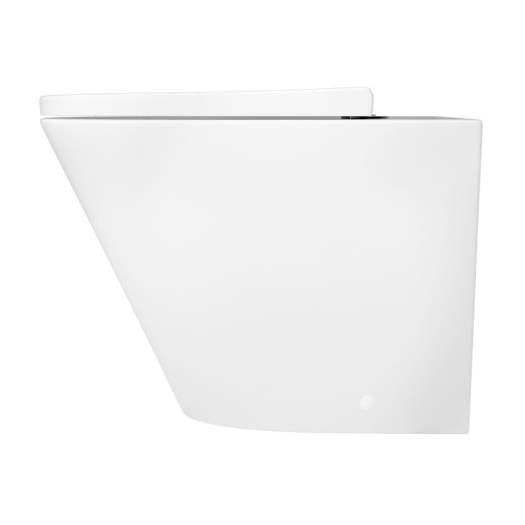 ALMOST PERFECT - Back to Wall Rimless Toilet with Soft Close Seat - Newport