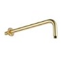 GRADE A1 - Arissa Brushed Brass 300mm Round Shower Arm