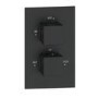 Black 1 Outlet Ceiling Mounted Thermostatic Mixer Shower Set  - Zana