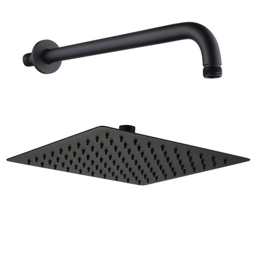 Shower Head with Wall Arm