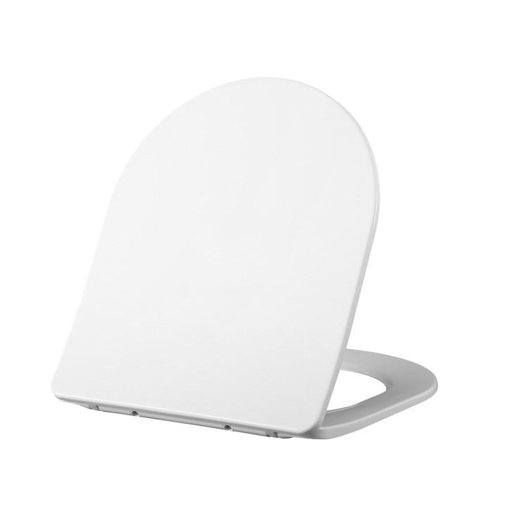 Wall Hung Rimless Toilet with Soft Close Seat – Roma
