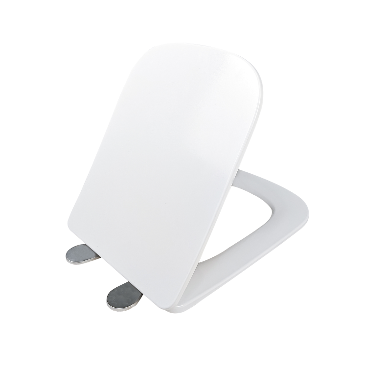 ALMOST PERFECT - Wall Hung Rimless Short Projection Toilet with Soft Close Seat – Boston