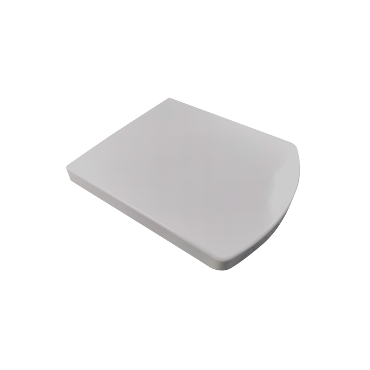 Back to Wall Rimless Toilet and Soft Close Seat - Ashford