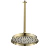 230mm Brushed Brass Traditional Shower Head with Ceiling Arm