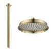 230mm Brushed Brass Traditional Shower Head with Ceiling Arm