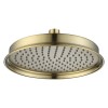 230mm Brushed Brass Traditional Shower Head with Ceiling Arm
