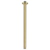 230mm Brushed Brass Traditional Shower Head with Ceiling Arm