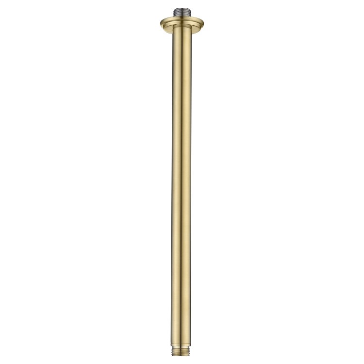 230mm Brushed Brass Traditional Shower Head with Ceiling Arm