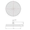 230mm Brushed Brass Traditional Shower Head with Ceiling Arm