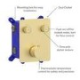 Brushed Brass Push Button 2 Outlet  Wall Mounted Thermostatic Mixer Shower Set with Hand Shower - Vance