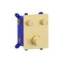 Brushed Brass Push Button 2 Outlet  Wall Mounted Thermostatic Mixer Shower Set with Hand Shower - Vance