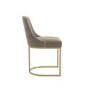 Set of 4 Mink Velvet Dining Chairs with Gold Legs - Callie