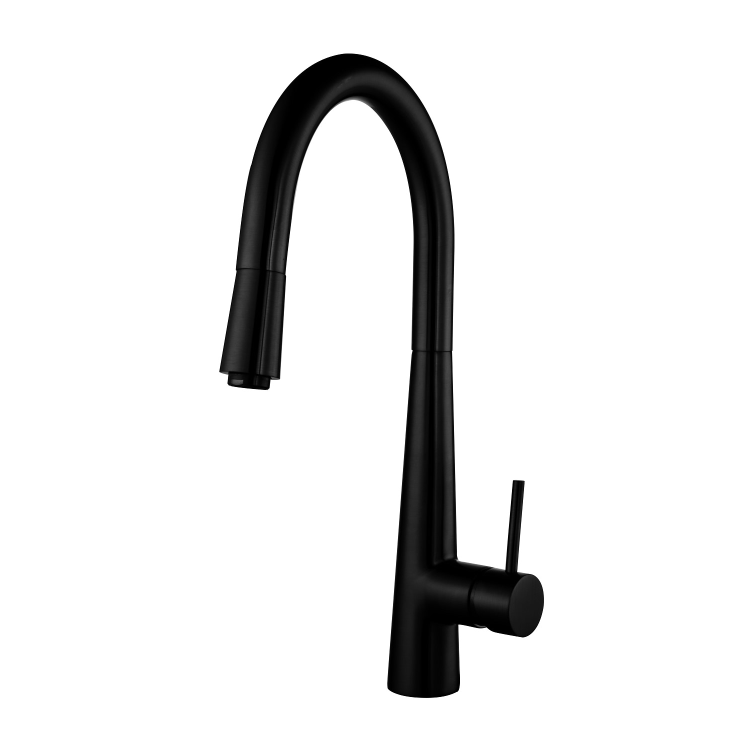 Matt Black Single Lever Pull Out Monobloc Kitchen Mixer Tap - Enza Olney