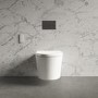 ONLY OPENED - Wall Hung Bidet Toilet Combo- Built in Dryer & Spray-Purificare