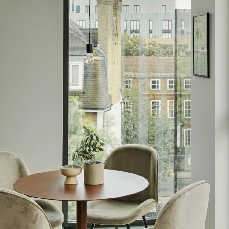 Set of 4 Mink Velvet Dining Chairs with Gold Legs - Jenna