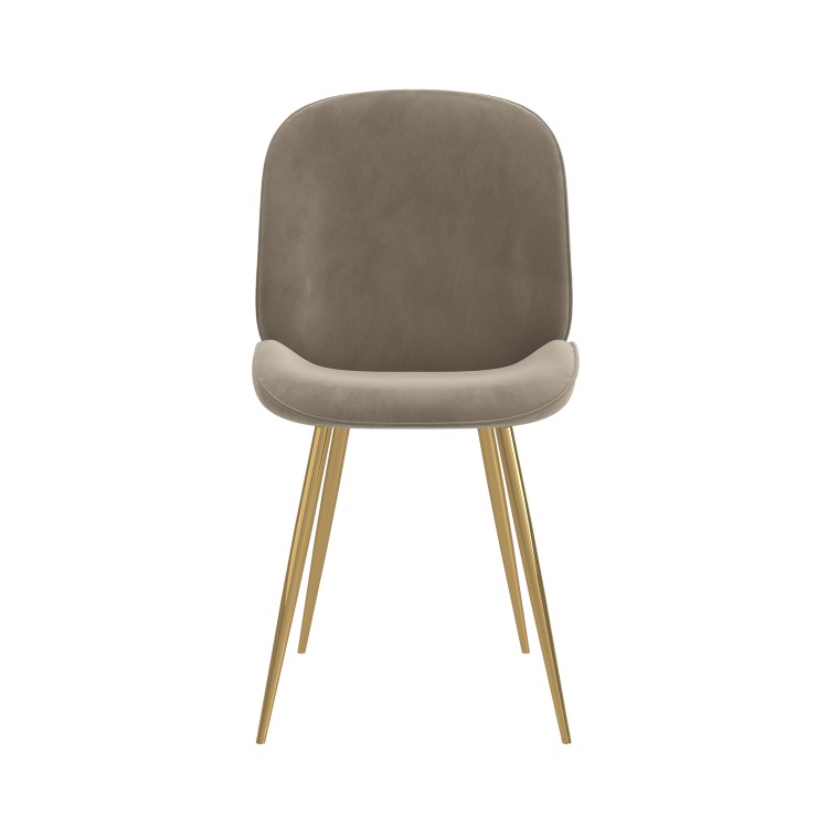 Set of 2 Mink Velvet Dining Chairs with Gold Legs - Jenna