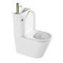 ONLY OPENED - Close Coupled Closed Back Toilet with Sink on Top & Brass Fittings - Legend