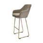 Set of 2 Mink Matt Velvet Bar Stool with Brass Legs - 77cm - Logan
