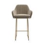 Set of 2 Mink Matt Velvet Bar Stool with Brass Legs - 77cm - Logan