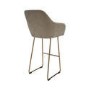 Set of 2 Mink Matt Velvet Bar Stool with Brass Legs - 77cm - Logan