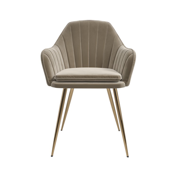 Set of 6 Logan Mink Matt Velvet Dining chairs with Brass Legs