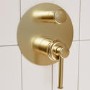 Brushed Brass 2 Outlet Wall Mounted Mixer Shower Set With Hand Shower - Lyla