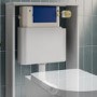 Grade A1 - Arissa Brushed Brass Manual Push Button and Cistern
