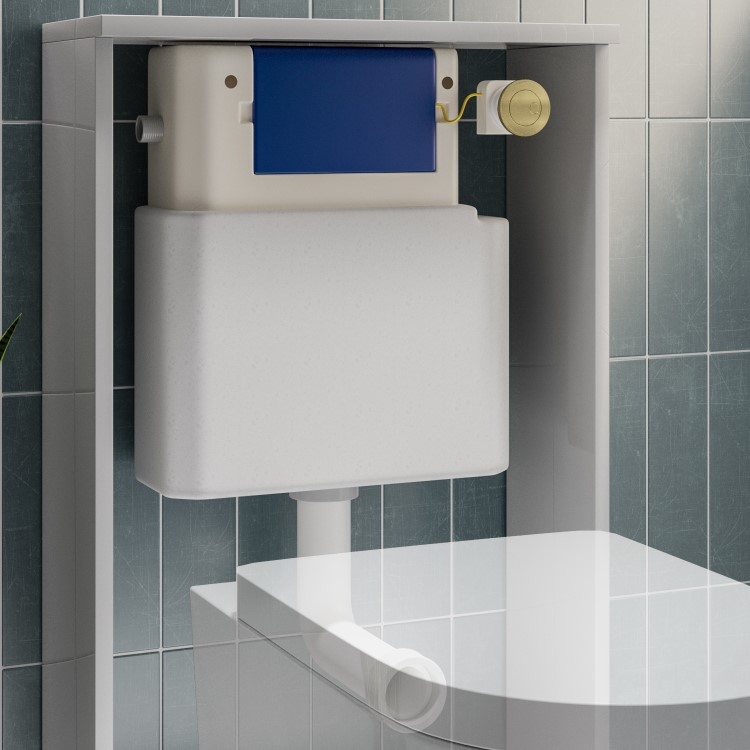 Grade A1 - Arissa Brushed Brass Manual Push Button and Cistern