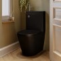 ONLY OPENED - Matt Black Close Coupled Closed Back Toilet with Chrome Fittings & Sink on Top - Legend