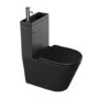 Matt Black Close Coupled Closed Back Toilet with Chrome Fittings & Sink on Top - Legend
