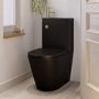 Matt Black Close Coupled Closed Back Toilet with Brass Fittings & Sink on Top - Legend