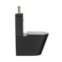 Matt Black Close Coupled Closed Back Toilet with Brass Fittings & Sink on Top - Legend