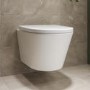 Wall Hung Toilet with Soft Close Toilet Seat, Brushed Bronze Pneumatic Flush Plate, 1168mm Frame & Cistern - Newport