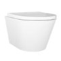Wall Hung Toilet with Soft Close Toilet Seat, Brushed Bronze Pneumatic Flush Plate, 1168mm Frame & Cistern - Newport