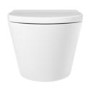 Wall Hung Toilet with Soft Close Toilet Seat, Brushed Bronze Pneumatic Flush Plate, 1168mm Frame & Cistern - Newport